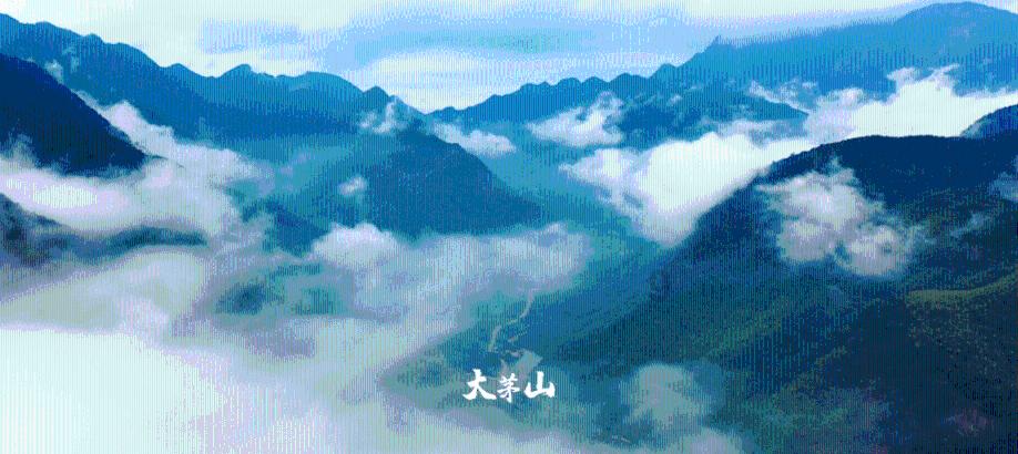 影视工厂